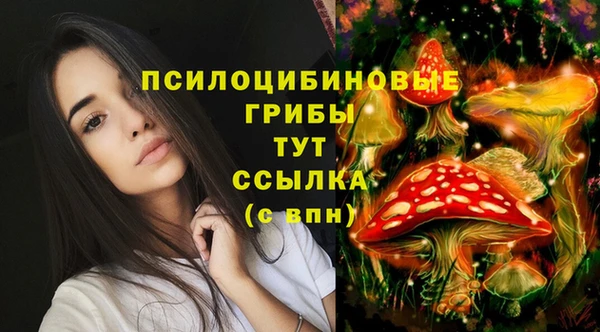 мдпв Абаза