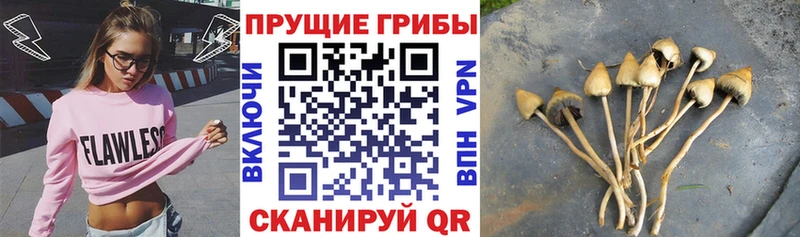 Псилоцибиновые грибы ЛСД  Воткинск 